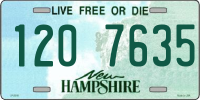 NH license plate 1207635