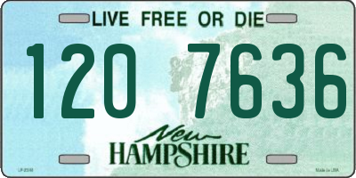 NH license plate 1207636