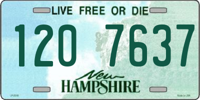 NH license plate 1207637