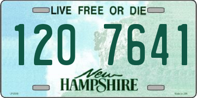 NH license plate 1207641