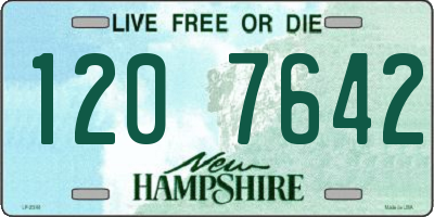 NH license plate 1207642