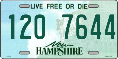 NH license plate 1207644