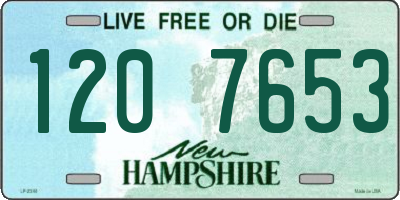 NH license plate 1207653