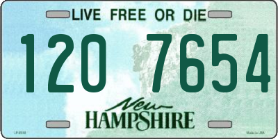 NH license plate 1207654