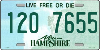 NH license plate 1207655
