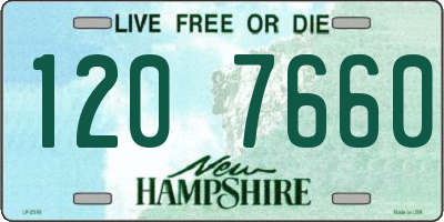 NH license plate 1207660