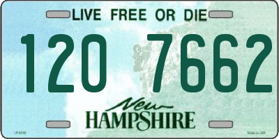 NH license plate 1207662