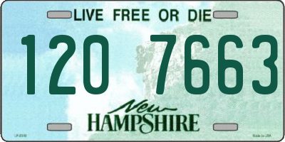 NH license plate 1207663
