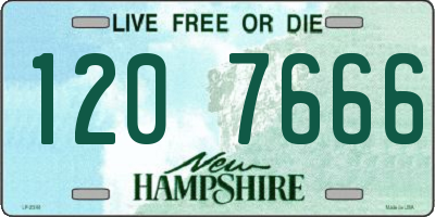 NH license plate 1207666