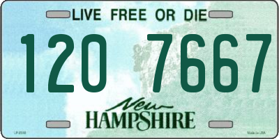 NH license plate 1207667