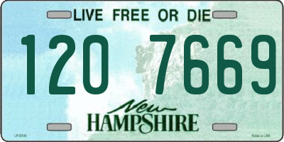 NH license plate 1207669