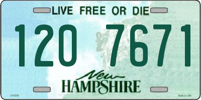 NH license plate 1207671