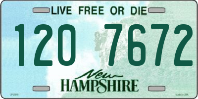 NH license plate 1207672