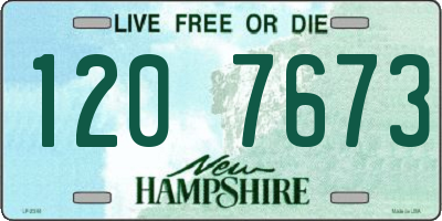 NH license plate 1207673