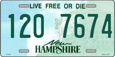 NH license plate 1207674