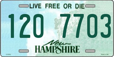 NH license plate 1207703