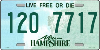 NH license plate 1207717