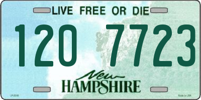 NH license plate 1207723