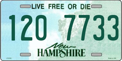 NH license plate 1207733