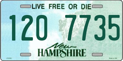 NH license plate 1207735