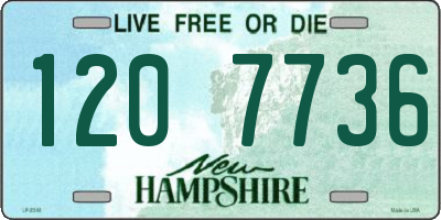 NH license plate 1207736