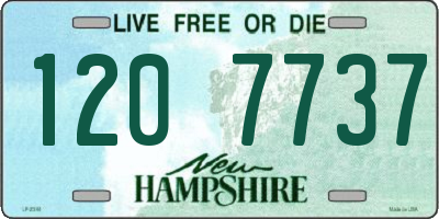 NH license plate 1207737