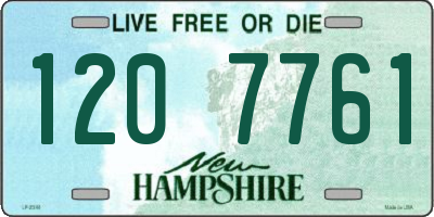 NH license plate 1207761