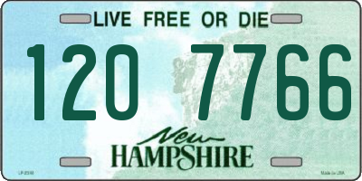 NH license plate 1207766