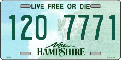 NH license plate 1207771