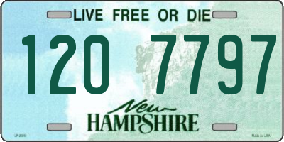 NH license plate 1207797