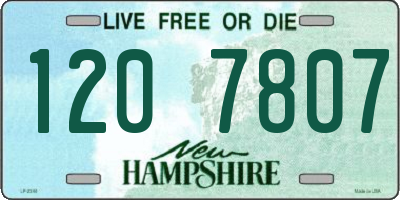 NH license plate 1207807