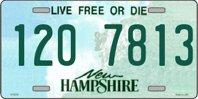 NH license plate 1207813