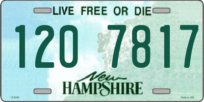 NH license plate 1207817