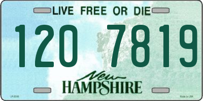 NH license plate 1207819