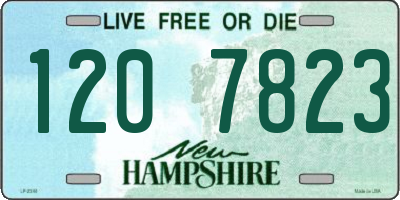 NH license plate 1207823