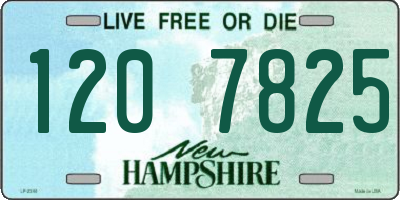 NH license plate 1207825