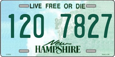 NH license plate 1207827