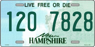 NH license plate 1207828