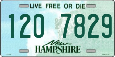 NH license plate 1207829