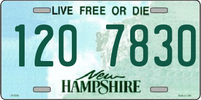 NH license plate 1207830