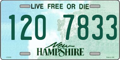 NH license plate 1207833
