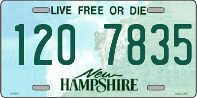 NH license plate 1207835
