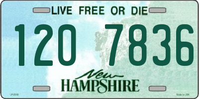 NH license plate 1207836