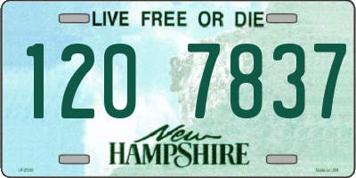NH license plate 1207837