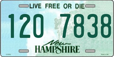 NH license plate 1207838