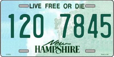 NH license plate 1207845