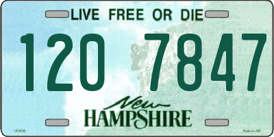 NH license plate 1207847