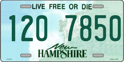 NH license plate 1207850