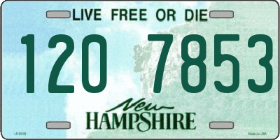 NH license plate 1207853