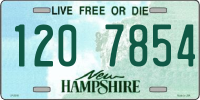 NH license plate 1207854